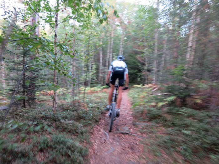 9555985393_f785423219_h