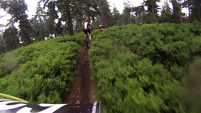 vlcsnap-2015-07-28-20h23m46s177