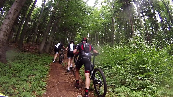 vlcsnap-2015-07-29-17h34m25s190