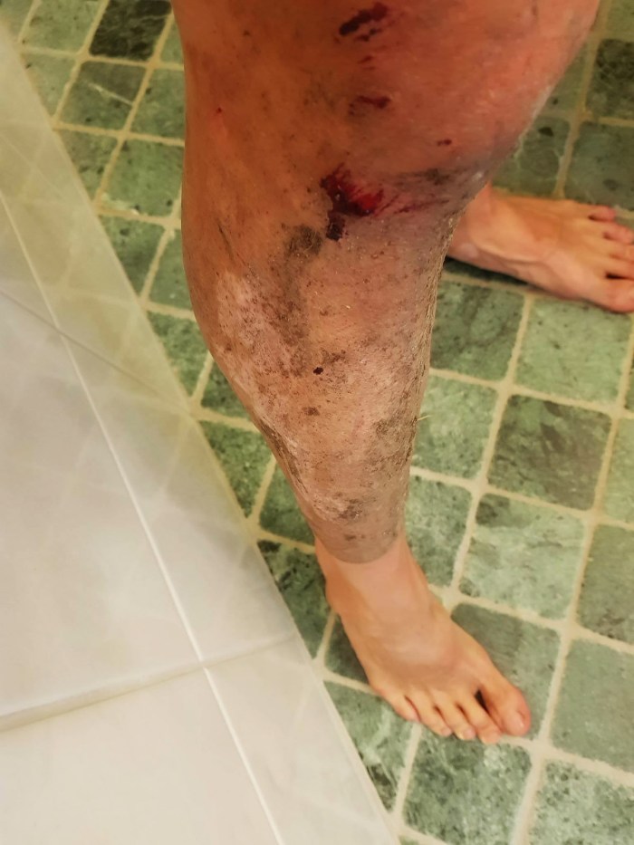 21682582_1614162558615182_1089728171_o