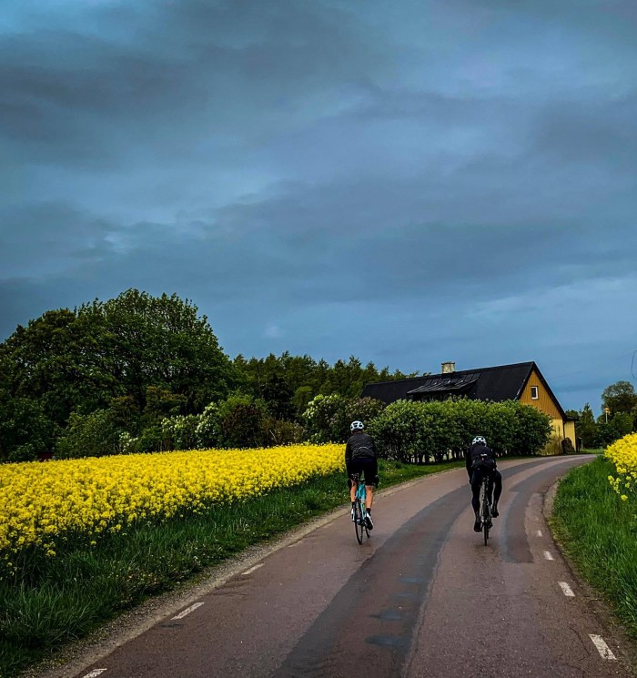 60593633_313645126204546_8045507367942488064_n